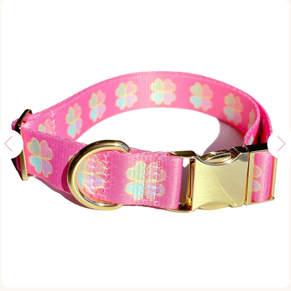 Frasier Sterling Lucky Pup Dog Collar in Size Large (up to 33.25”)